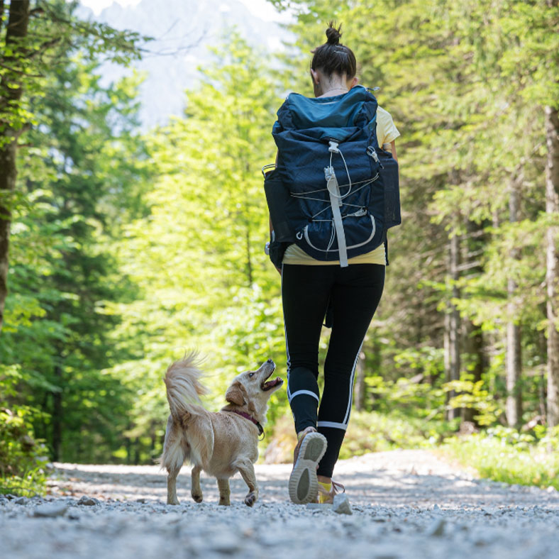 Dr Fiona explains why walking is good for your hormonal health