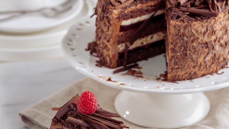 Chocolate cake with salted hazelnut cream